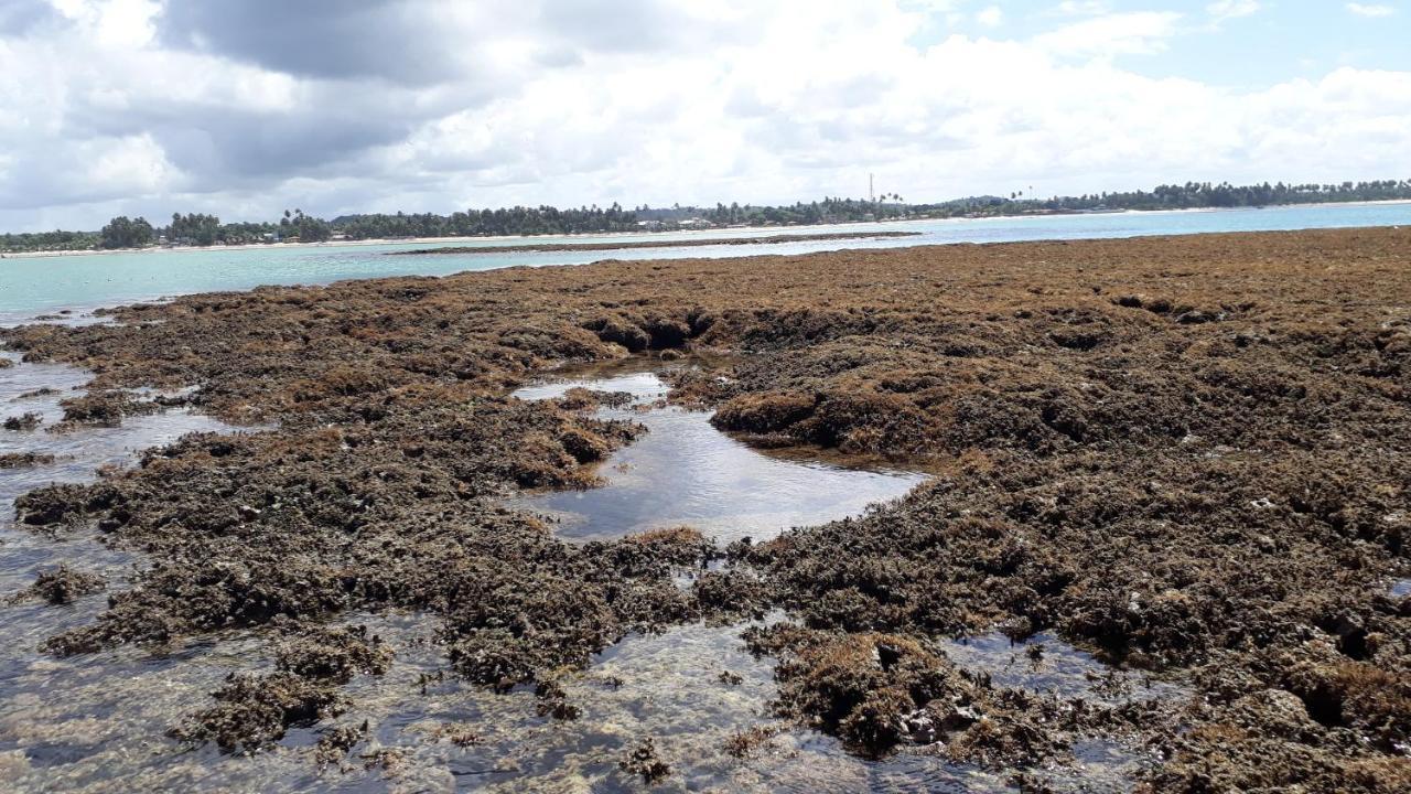 Parque Dos Coqueiros- Bangalos E Suites Maragogi Buitenkant foto